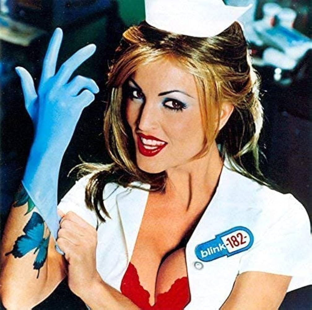 BLINK 182 - ENEMA OF STATE (X)